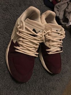 Pumas