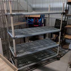 Large plastic rolling shelf $25