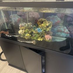 75 Gal Fish tank with stand and filtration