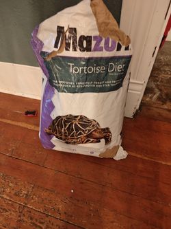 Tortoise Food