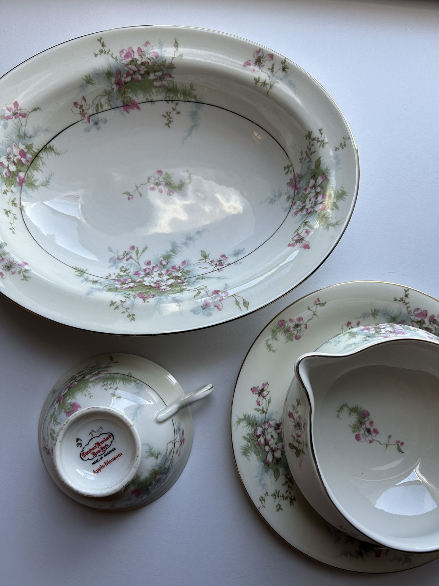 Vintage Theodore Haviland New York Apple Blossom China