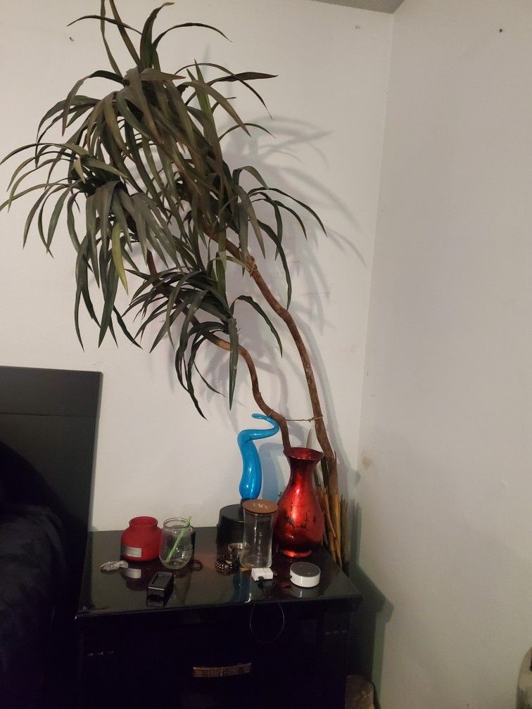 Fake Plants And Trees