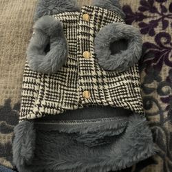 Dog Clothes 