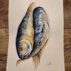 Watercolor ,fish,10x14"