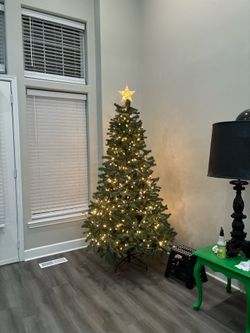 MOVING LAST DAY PICK UP SUNDAY  Christmas Tree