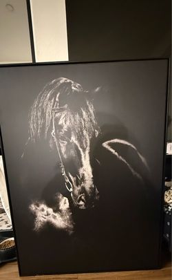 Black Horse Canvas Wall Art (Large Decorative Picture)