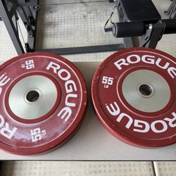 Rogue Fitness  Colored Training Plates 2.0 - 55 Pounds