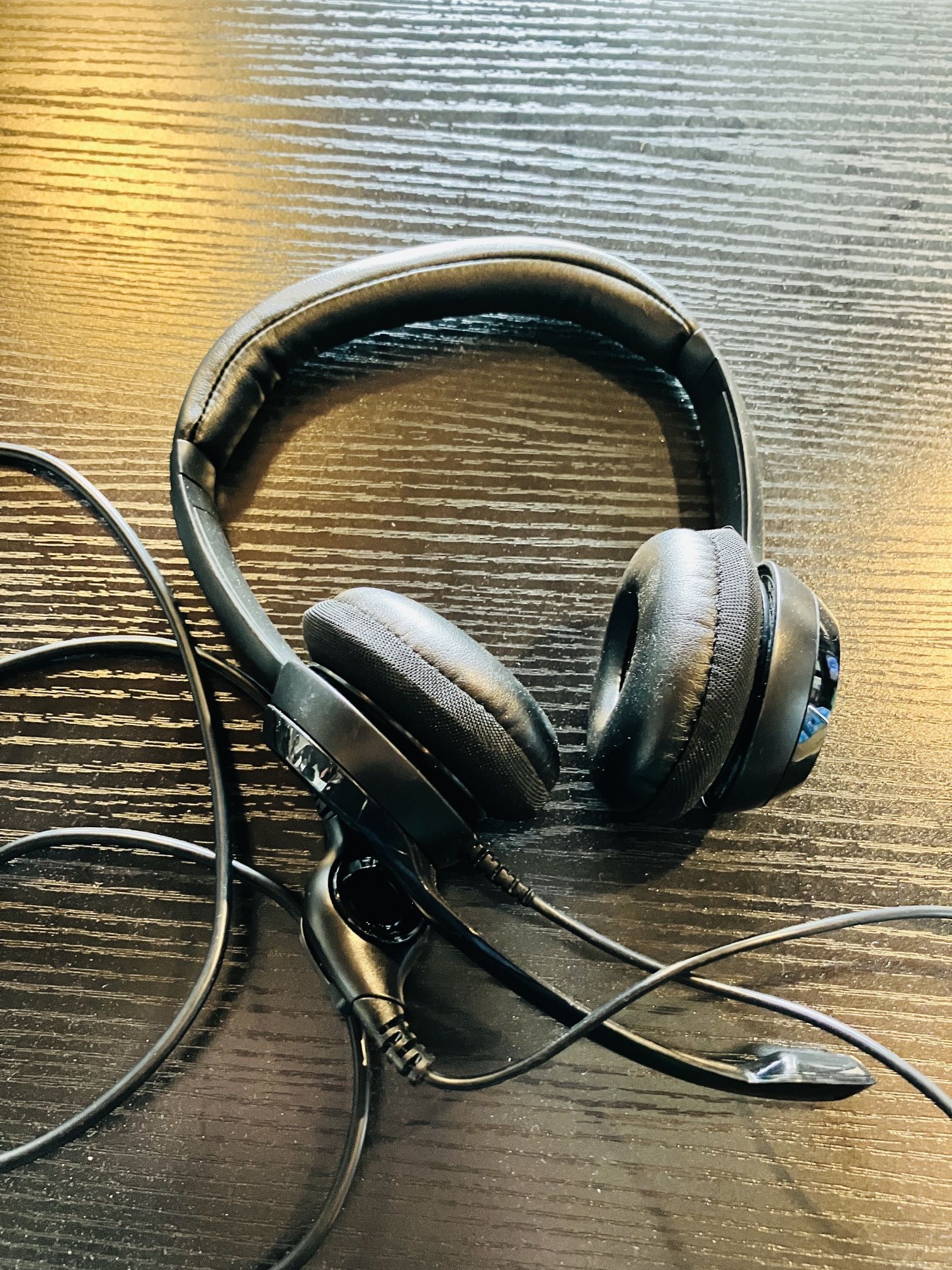 Logitech H390 USB Computer Headset