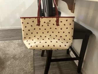 Lady Bug Purse 