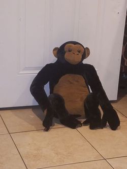 Monkey for 35 obo