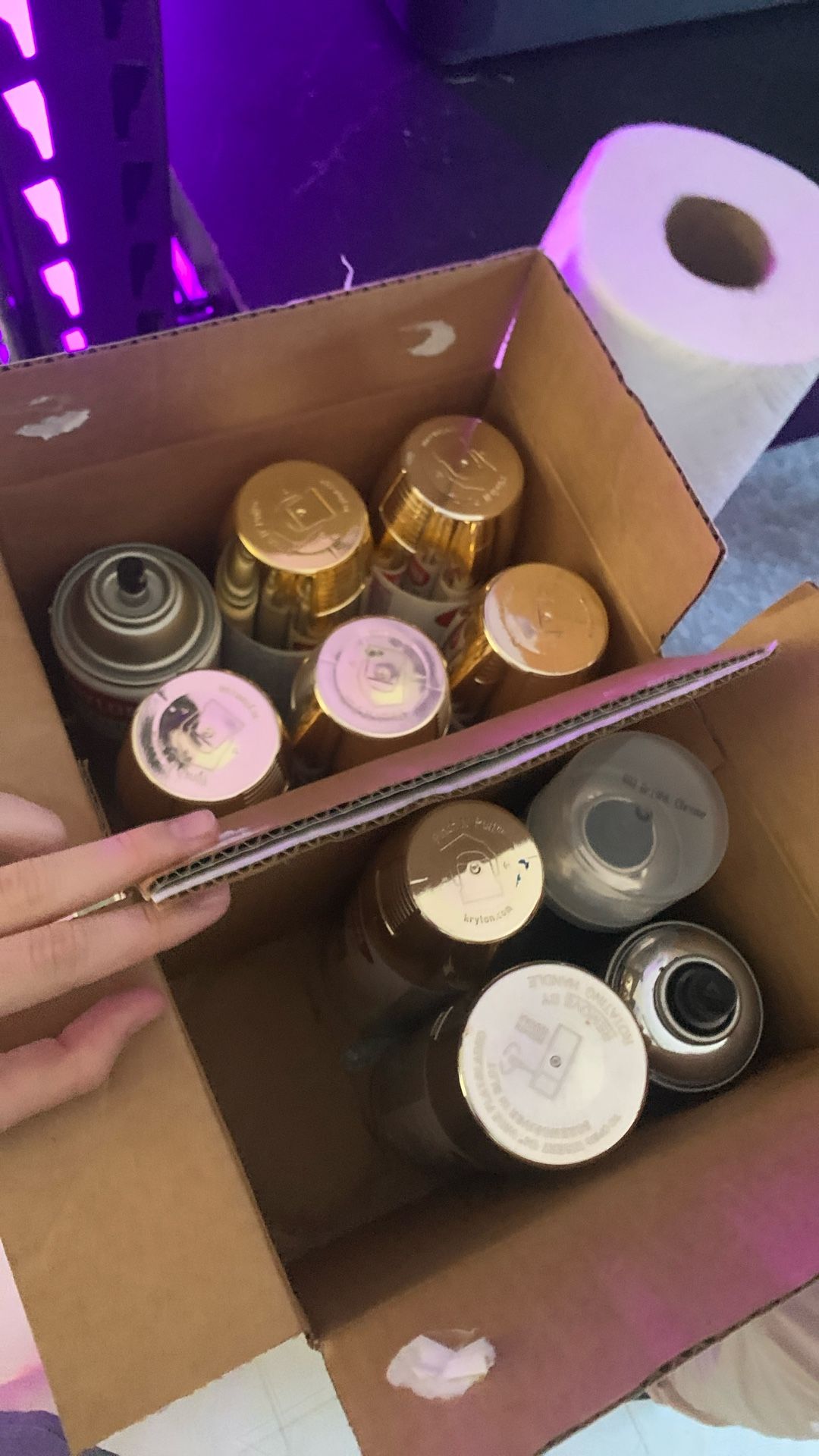 krylon aerosol spray paint