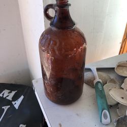 Antique Bottle 