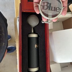 Microphone