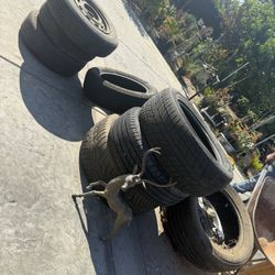 Tires For Free