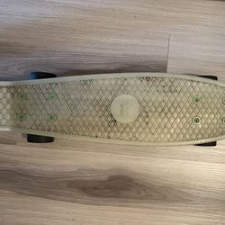 22” Penny Board