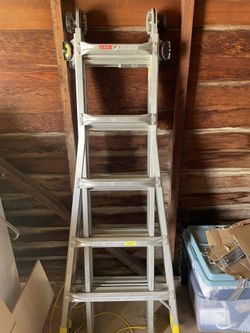 Gorilla Extension Ladder