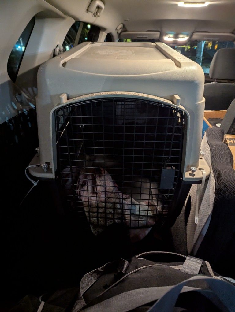 Dog Crate