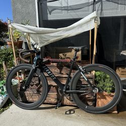 Aventon Bike Cordoba Single Speed