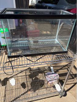 10 Gallons Fish Thank With 3 Boxes Of Brand New Filters And Rocks
