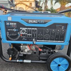 13,000 Watt Dual Fuel Generator