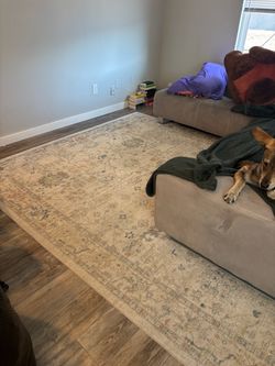 Large Vintage-Style Area Rug