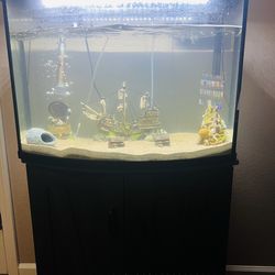 36 gallon fish tank