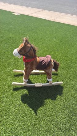 Retired champion horse