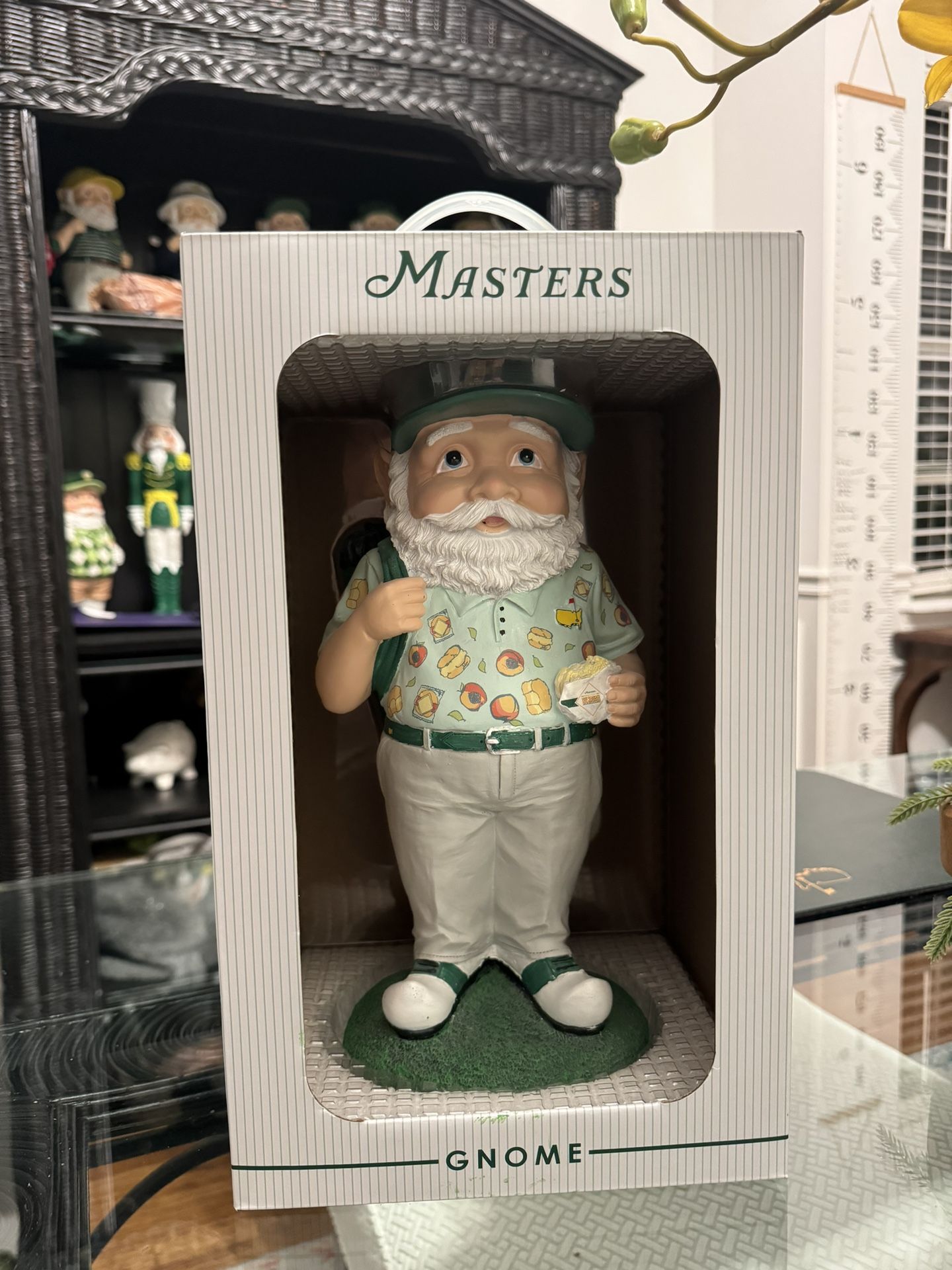 Master Gnome 2025
