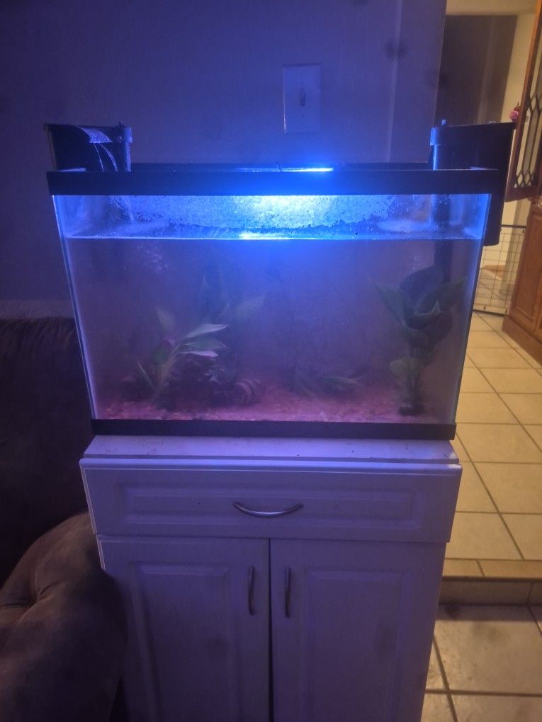20 Gallon Tank With Heater And Filters And Light