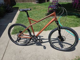 Giant Bicycle