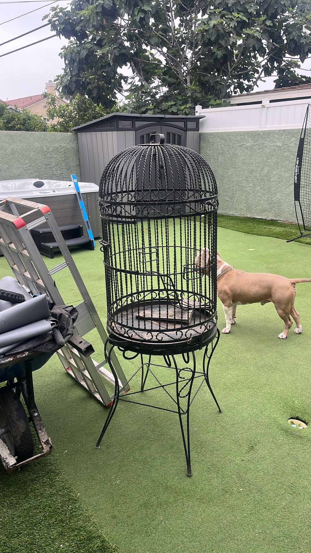 Bird Cage