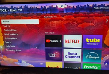 48 inch Roku Televison (TV)