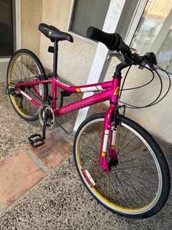 Diamondback Clarity 24” 14 speed
