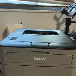 Printer Brother HL-L2305W