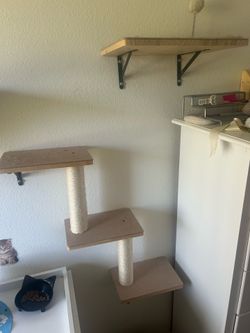 Cat play shelving
