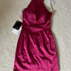 sherri hill Raspberry cocktail dress Size 8