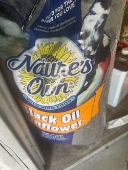 FREE 40lb bag of Black oil Sunflower Seeds