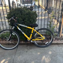 Cheyenne Bicycle $100