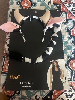 Diasfras de COW KIT