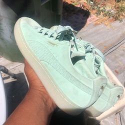 Puma