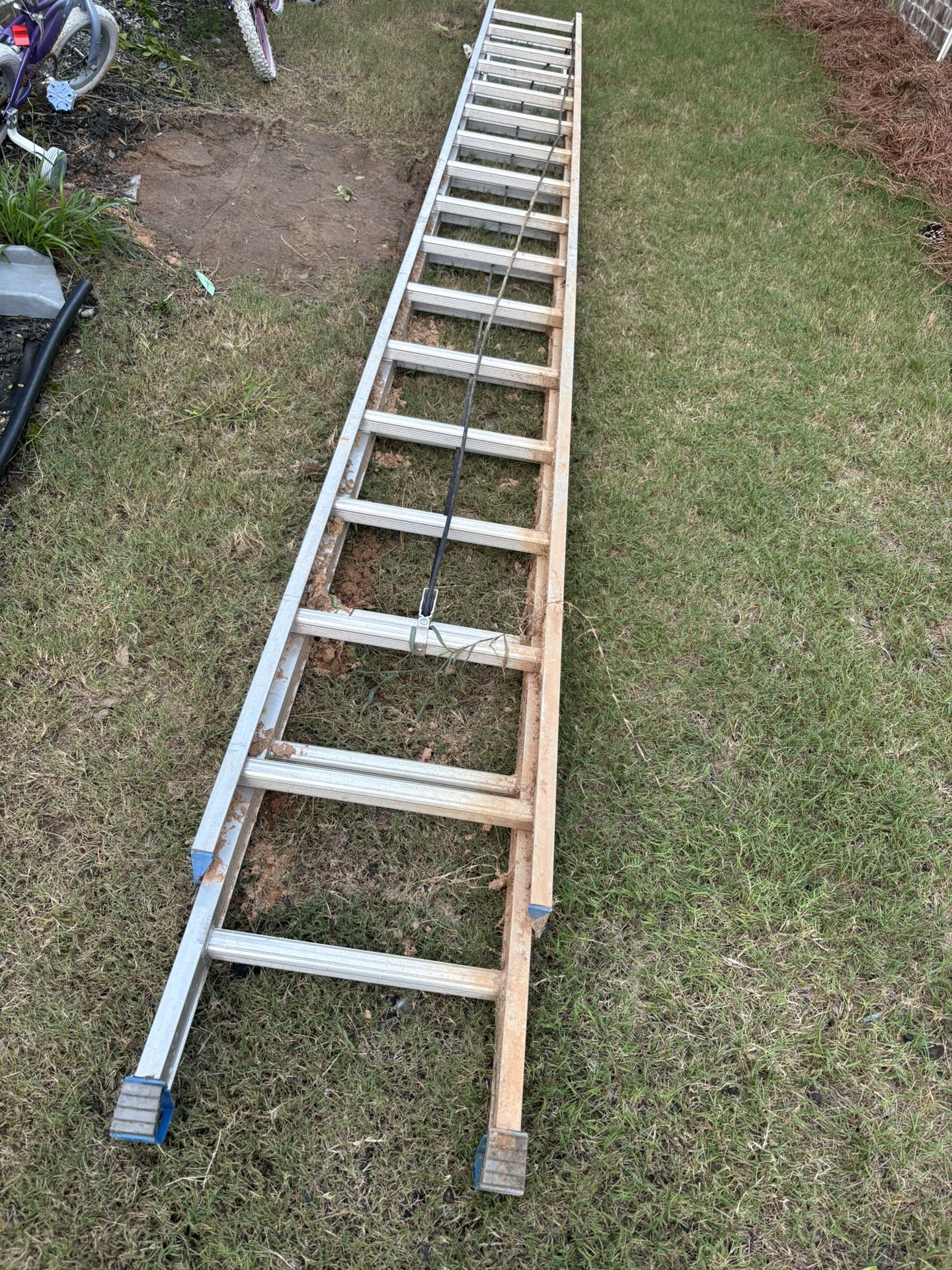 32 Ft Ext Ladder 