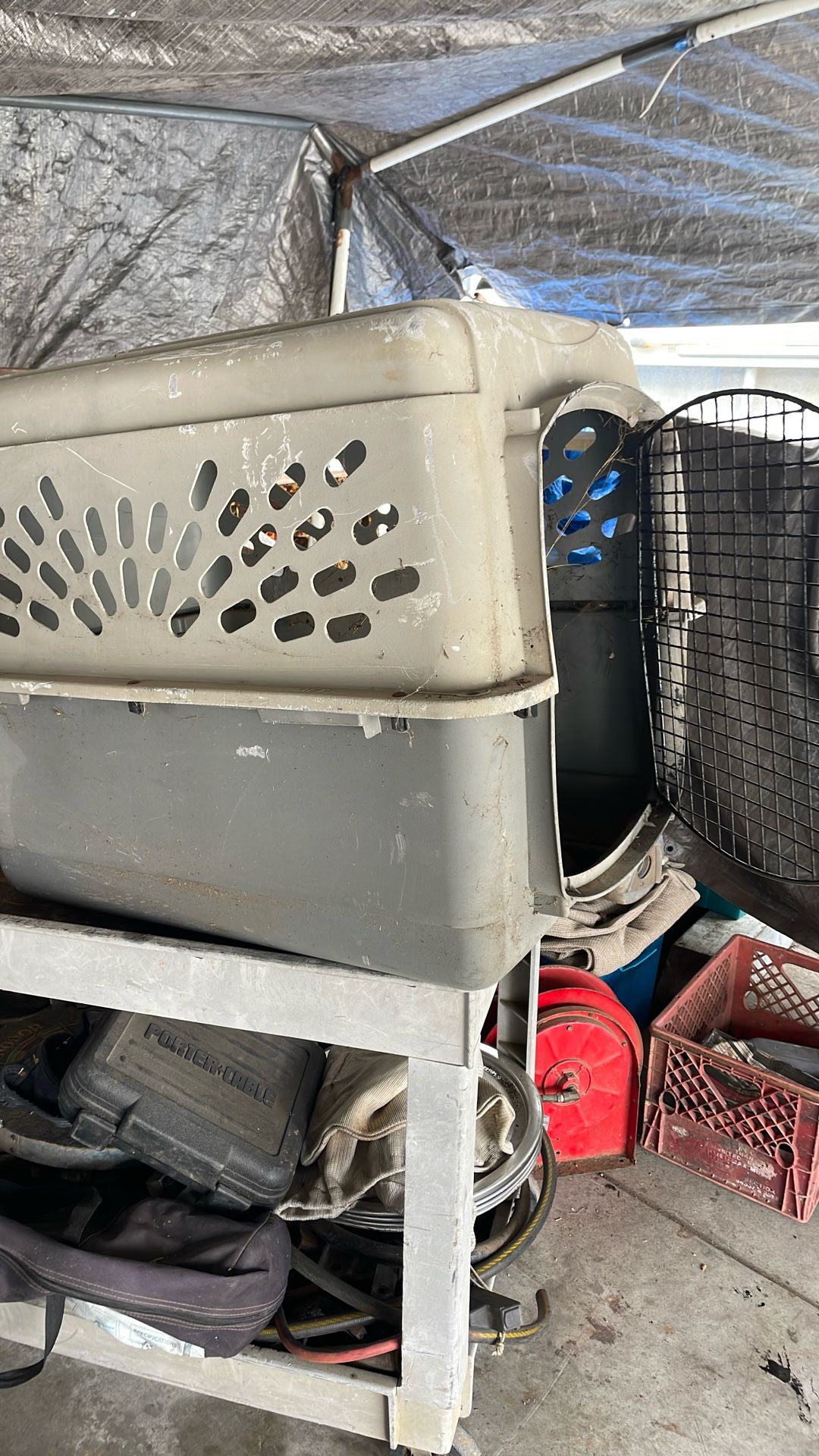 Dog Kennel