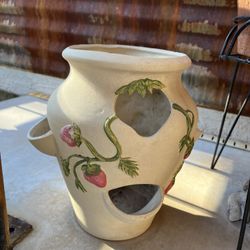 Plant Pot