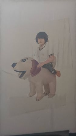 Dog inflatable costume