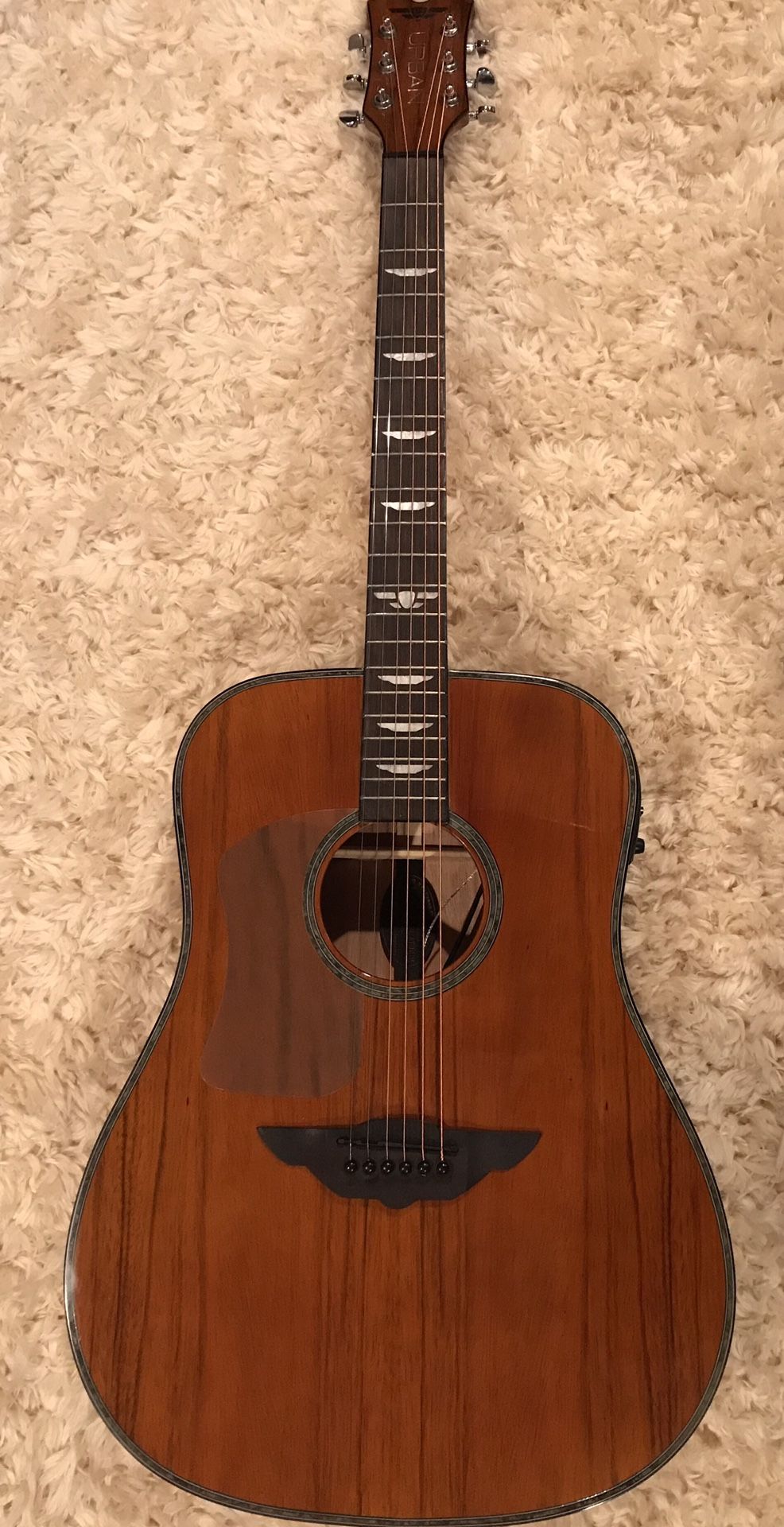 Rare Left Handed Keith Urban Acoustic / Electric Guitar with Case, Amp, & Accessories