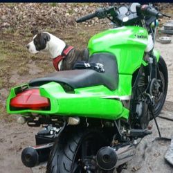 2005 Kawasaki Ninja 500R