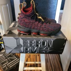 Lebron 15 New Heights Good Cond Sz 9.5 $130