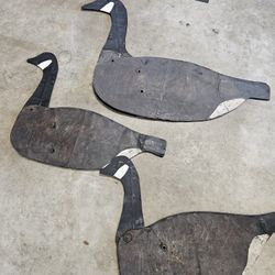 Antique Geese Decoys 