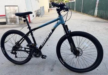AvastaFto adult mountain bike