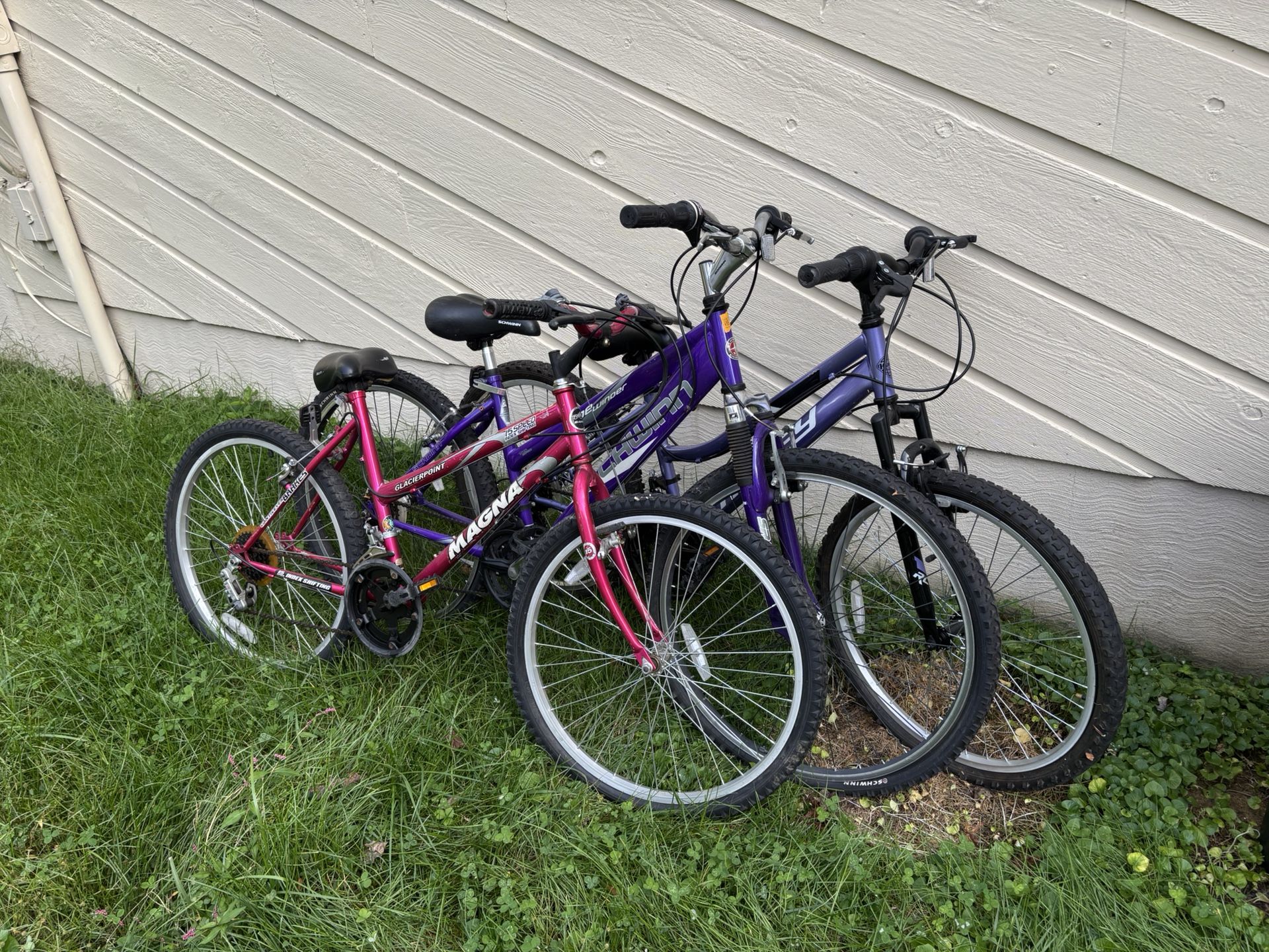 Three Bicycles - Free to a Good Home
